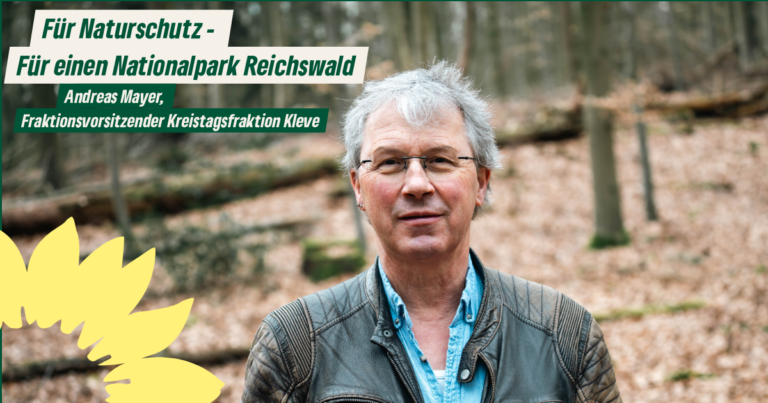 Nationalpark Reichswald: Wir wollen den Reichswald im ersten Schritt als Naturschutzgebiet